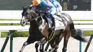 【シンザン記念予想】展開面で伏兵にチャンス!? 3強に割って入る「お宝馬」に妙味たっぷり