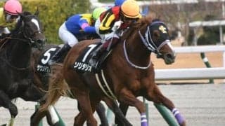 【本日の注目ポイント】中京で3歳出世レース・シンザン記念