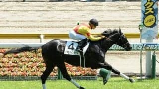 穴党向きのシンザン記念は今年も大荒れの予感。舞台合う２頭が高配当を演出か