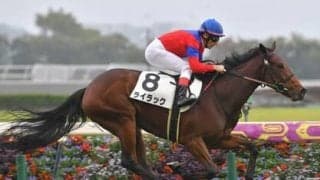 「荒れる」のが当たり前のフェアリーＳ。穴党記者推奨の３頭がビッグなお年玉を運んでくる