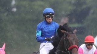 ラヴアンドポップが競走馬登録抹消