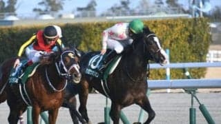 【シンザン記念結果】横山典弘騎手騎乗マテンロウオリオンが内から抜け出て連勝で重賞制覇