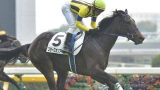 【フェアリーS予想】上位人気馬が次々と敗北!? あの名門「生産牧場」鬼門のレース