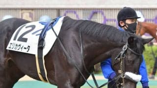 【フェアリーS前日オッズ】エリカヴィータが4.7倍で1番人気、6頭が10倍以下の混戦