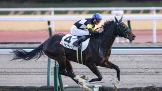 【新馬/中京6R】ディープ産駒 アスクオンディープがデビューV