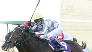 天才ジョッキーの悲願達成を実現。「競走馬としての総合力が高い」とスタッフもベタ褒めのドウデュース