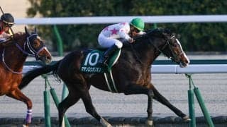 WIN5は1344票的中と堅調