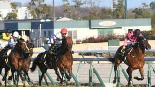 【JRA・WIN5】今週2回目のWIN5は的中2165票、配当23万8370円