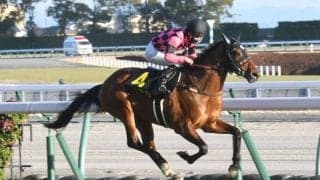 【淀短距離S結果】スマートクラージュが内から抜け出しオープン入り初戦を制す