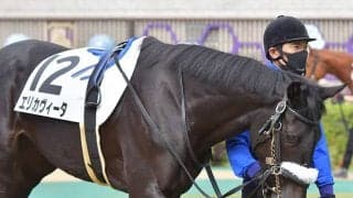 【フェアリーS】スプリットザシー陣営に過怠金と調教再審査　エリカヴィータらの進路に影響