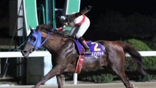 【佐賀・ゴールドスプリント結果】明け10歳ダノングッドが4馬身差圧勝で新設重賞を制す