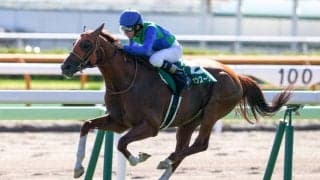 トーセンスーリヤが競走馬登録抹消