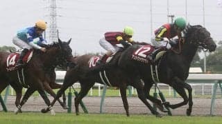 【愛知杯登録馬】アンドヴァラナウトなど18頭