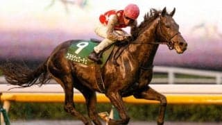 【日経新春杯見どころ】有馬記念4着ステラヴェローチェが人気の中心