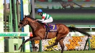 【競馬】年度代表馬にエフフォーリア　海外GI3勝のラヴズオンリーユーは受賞ならず
