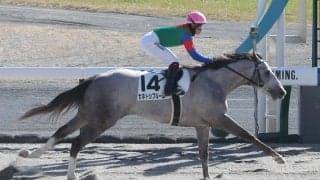 【新馬/中京4R】シニスターミニスター産駒 カネトシブルームがデビューV