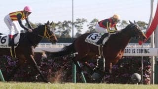 【新馬/中京6R】ワールドプレミア半妹 ショショローザがデビューV