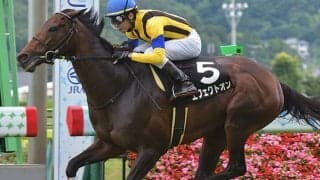 【日経新春杯予想】AI本命候補は「超人気薄」!? 大波乱が期待できる妙味たっぷりの狙い馬は