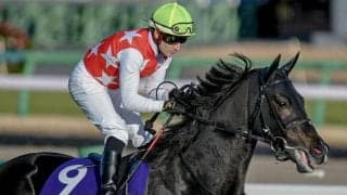 【日経新春杯ハンデ確定】ステラヴェローチェは57.0kg、ヨーホーレイクは55.0kg