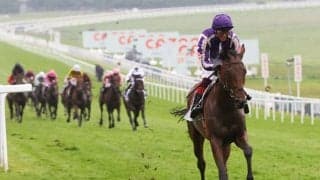 スノーフォール安楽死　昨年英オークス16馬身差圧勝のディープインパクト産駒