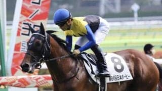 【日経新春杯展望】フレッシュな馬が活躍傾向、あの馬の重賞制覇を期待