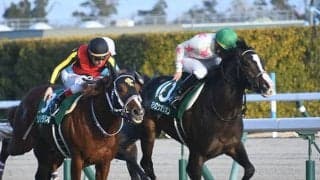 現3歳世代も重賞馬を2頭輩出 意気軒高の活躍を見せるダイワメジャー産駒