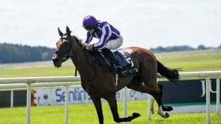 ディープ産駒スノーフォールが安楽死　日本のファンも沈痛「いくら何でも早すぎる」