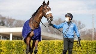 【京成杯「見逃せない調教師」ベスト3】5番人気以下なら複勝回収率105％　人気薄で怖いのはこの調教師！