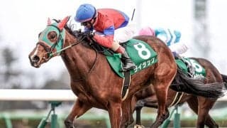 頭数減の世代でも重賞勝ち馬を輩出、非凡な何かを秘めているオルフェーヴル産駒