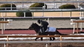 ダノンスコーピオンなど、先週の入厩情報/栗東トレセンニュース