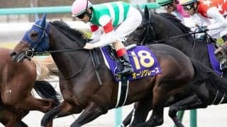 【AJCC想定】菊花賞2着のオーソクレース、重賞初制覇を狙うポタジェなど