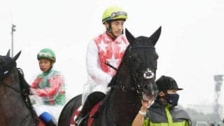 【日経新春杯予想オッズ】ステラヴェローチェが予想1番人気