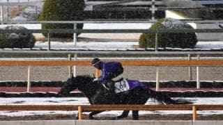 【愛知杯「見逃せない調教師」ベスト3】中京芝2000mで複勝率は45.8％！ 芝中距離はこの人にお任せ！