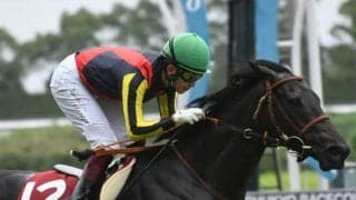 【愛知杯予想オッズ】アンドヴァラナウトが予想1番人気