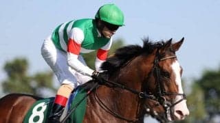 【京成杯予想オッズ】アライバルが予想1番人気