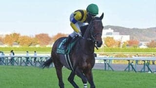 昨年は3連単96万超えの大波乱！ 今年の日経新春杯でAIが注目したのは配当妙味のある人気薄