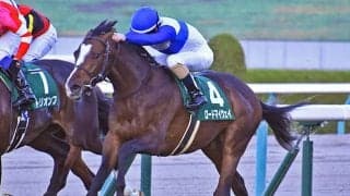 【日経新春杯「見逃せない調教師」ベスト3】中京芝2200mで複勝率は54.5％、複勝回収率123％　馬券的に外せないのはこの調教師！