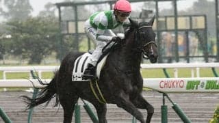 【京成杯展望】スタミナを要する3歳重賞、あの穴馬に注目したい