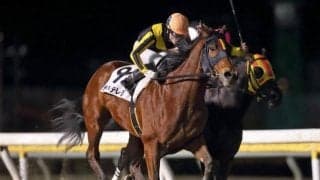 【船橋・チバテレ盃結果】20年JDダービー3着馬キタノオクトパスが転入初戦を勝利