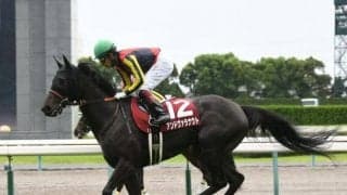 【愛知杯出走馬・騎手確定】アンドヴァラナウト＆松山弘平騎手、マジックキャッスル＆ルメール騎手など16頭