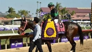 【JRA】ラヴズオンリーユーの引退式を東京競馬場で開催