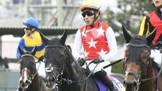 【日経新春杯出走馬・騎手確定】ステラヴェローチェ＆M.デムーロ騎手、ヨーホーレイク＆川田将雅騎手など16頭