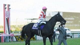 アカイイトは1戦使って大阪杯へ