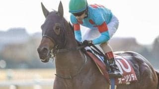 オーソリティ・ディープボンドらがサウジ長距離戦に登録　トップハンデの62kg