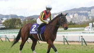 1351ターフスプリントにグレナディアガーズ・ホウオウアマゾン・ソングラインなど日本馬15頭が登録