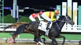 リヤドDSにコパノキッキング・ダンシングプリンス・ヨシオなど日本馬19頭が登録