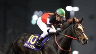 サウジダービーにドライスタウトなど日本馬35頭登録　北海道・兵庫・高知からの登録馬も