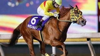 【船橋記念結果】キモンルビーが重賞初挑戦を制し12連勝！御神本訓史騎手は5連覇達成！