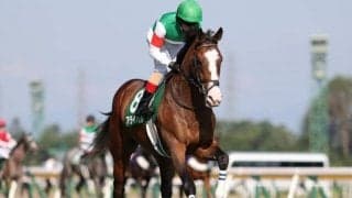 【京成杯枠順確定】アライバルは3枠5番、ホウオウプレミアは7枠14番