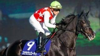 【日経新春杯枠順確定】ステラヴェローチェは2枠4番、ヨーホーレイクは5枠10番